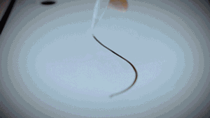 微信图片_20230307143140.gif 微信图片_20230307143140.gif